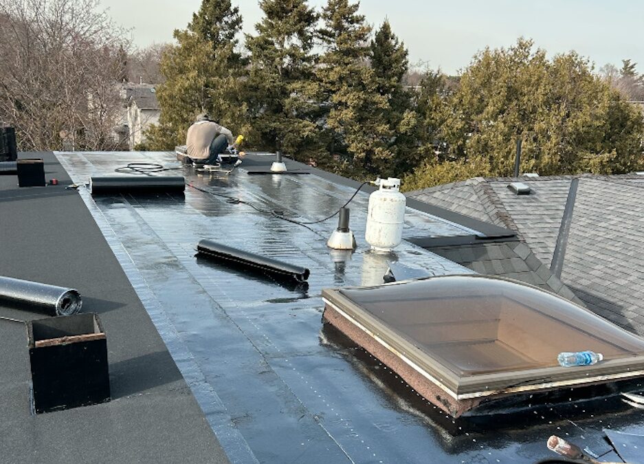 Residential Project IV